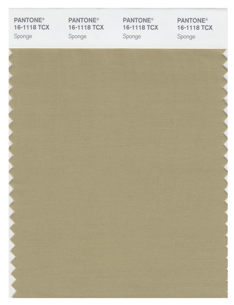 Pantone Smart 16-1118 TCX Color Swatch Card | Sponge | Magazine Cafe ...