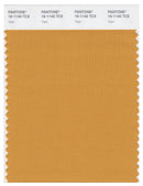 Pantone Smart 16-1140 TCX Color Swatch Card | Yam