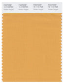 Pantone Smart 16-1142 TCX Color Swatch Card | Golden Nugget