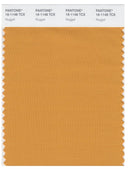 Pantone Smart 16-1148 TCX Color Swatch Card | Nugget