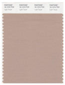 Pantone Smart 16-1210 TCX Color Swatch Card | Light Taupe