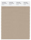 Pantone Smart 16-1212 TCX Color Swatch Card | Nomad