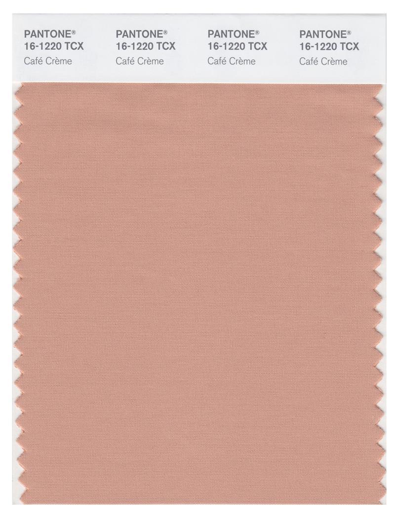 Pantone Smart 16-1220 TCX Color Swatch Card | Cafe?üCre?Cme