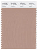 Pantone Smart 16-1221 TCX Color Swatch Card | Roe Buck