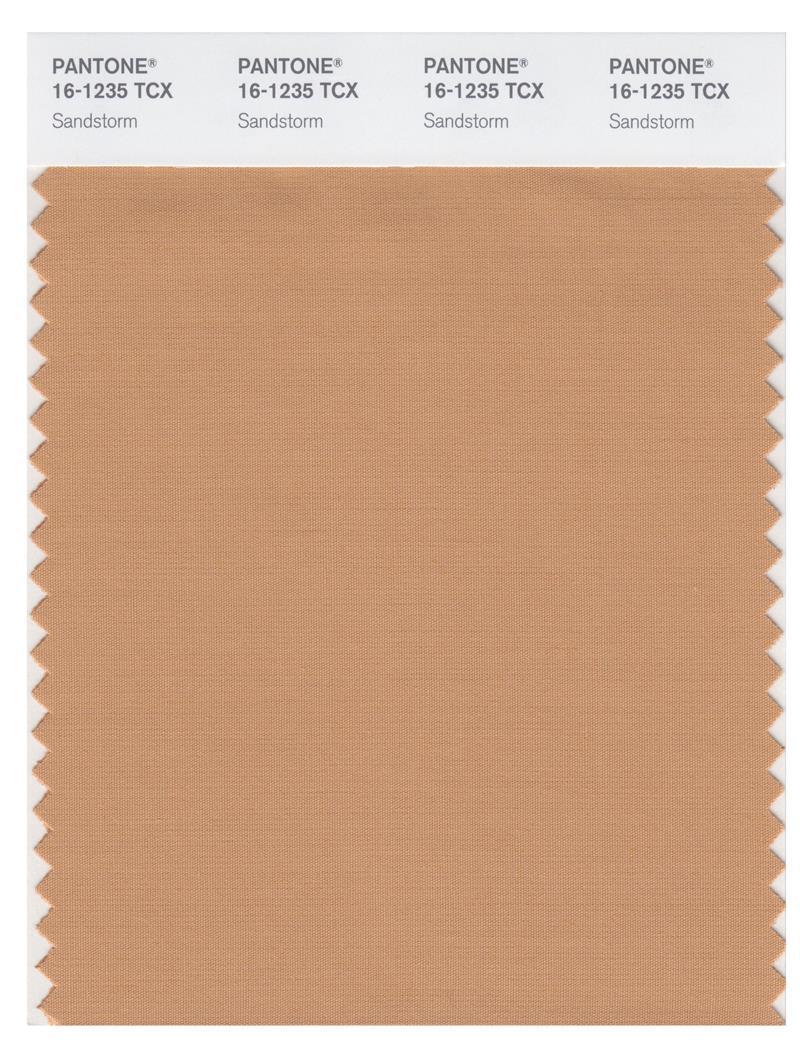 Pantone Smart 16-1235 TCX Color Swatch Card | Sandstorm