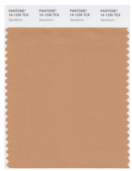 Pantone Smart 16-1235 TCX Color Swatch Card | Sandstorm | Magazine
