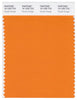 Pantone Smart 16-1255 TCX Color Swatch Card | Russet Orange