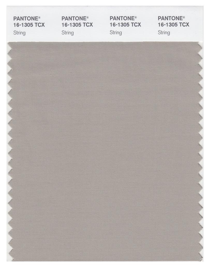 String Pantomne Pantone Smart 16-1305 TCX Color Swatch Card | String | Magazine Cafe ...