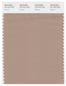 Pantone Smart 16-1310 TCX Color Swatch Card | Natural