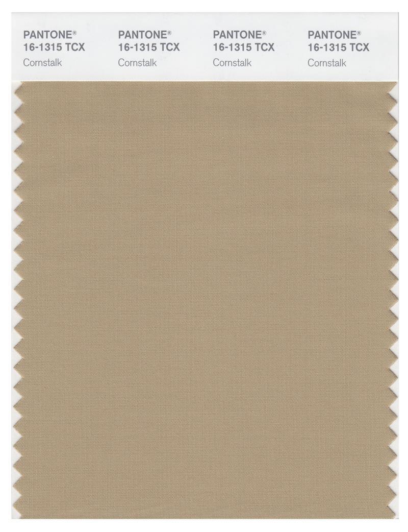 Pantone Smart 16-1315 TCX Color Swatch Card | Cornstalk