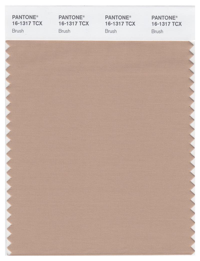 PANTONE FASHION＋ / color guide Pantone Smart 16-1317 TCX Color Swatch Card | Brush | Magazine