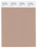 Pantone Smart 16-1317 TCX Color Swatch Card | Brush