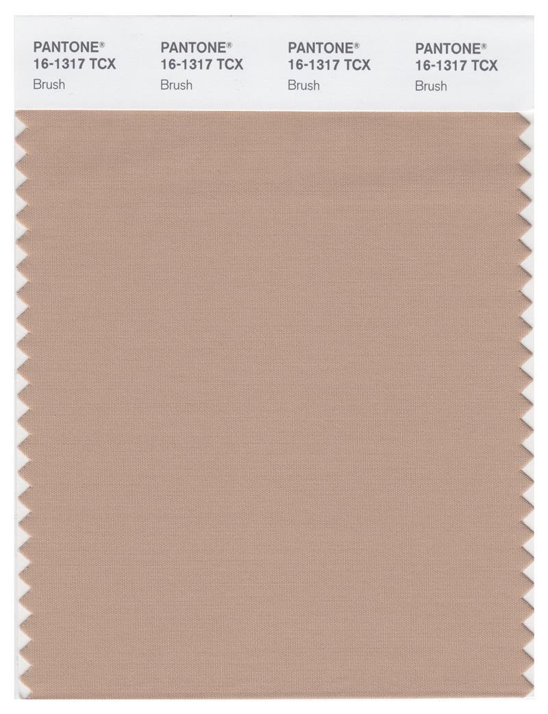 Pantone Smart 16-1317 TCX Color Swatch Card | Brush