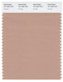 Pantone Smart 16-1320 TCX Color Swatch Card | Nougat