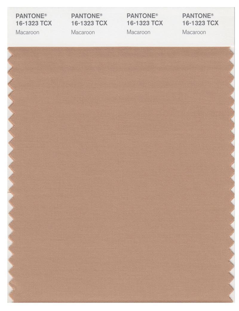 Pantone Smart 16-1323 TCX Color Swatch Card | Macaroon | Magazine Cafe ...