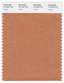 Pantone Smart 16-1325 TCX Color Swatch Card | Copper