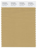 Pantone Smart 16-1326 TCX Color Swatch Card | Prairie Sand