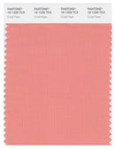 Pantone Smart 16-1329 TCX Color Swatch Card | Coral Haze