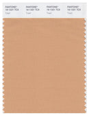 Pantone Smart 16-1331 TCX Color Swatch Card | Toast