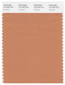 Pantone Smart 16-1332 TCX Color Swatch Card | Pheasant