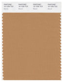 Pantone Smart 16-1336 TCX Color Swatch Card | Biscuit