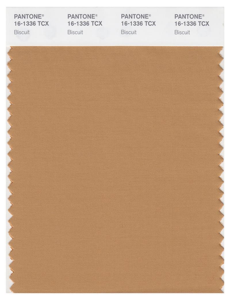 Pantone Smart 16-1336 TCX Color Swatch Card | Biscuit