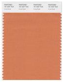 Pantone Smart 16-1337 TCX Color Swatch Card | Coral Gold