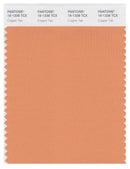 Pantone Smart 16-1338 TCX Color Swatch Card | Copper Tan