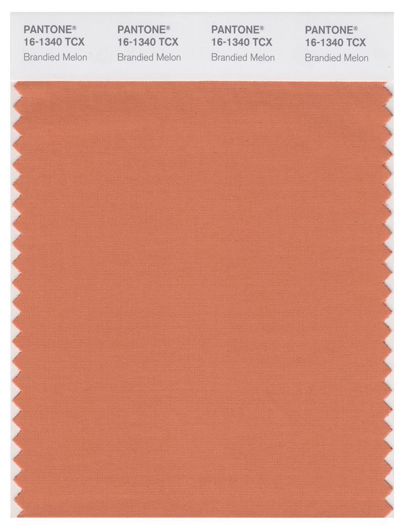 Pantone Smart 16-1340 TCX Color Swatch Card | Brandied Melon