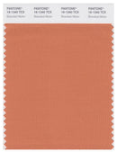 Pantone Smart 16-1340 TCX Color Swatch Card | Brandied Melon