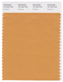Pantone Smart 16-1342 TCX Color Swatch Card | Buckskin