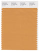 Pantone Smart 16-1342 TCX Color Swatch Card | Buckskin