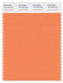 Pantone Smart 16-1343 TCX Color Swatch Card | Autumn Sunset