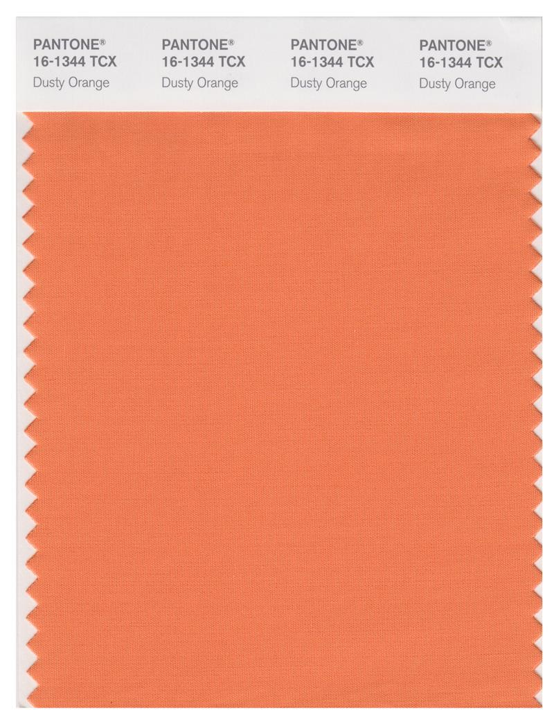 Pantone Smart 16-1344 TCX Color Swatch Card | Dusty Orange