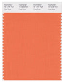 Pantone Smart 16-1349 TCX Color Swatch Card | Coral Rose