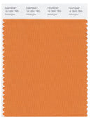 Pantone Smart 16-1350 TCX Color Swatch Card | Amberglow