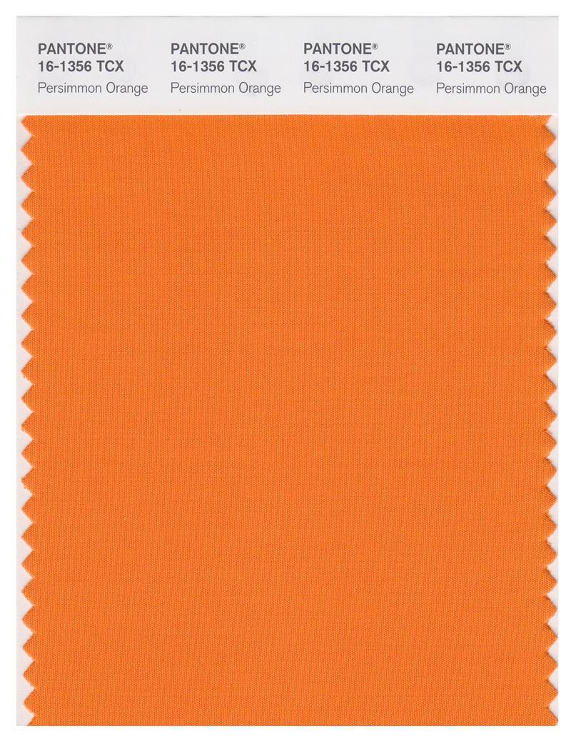 Pantone Smart 16-1356 TCX Color Swatch Card | Perismmon Orange