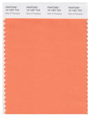 Pantone Smart 16-1357 TCX Color Swatch Card | Bird Of Paradise