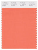 Pantone Smart 16-1360 TCX Color Swatch Card | Nectarine