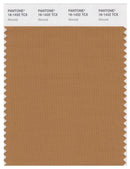 Pantone Smart 16-1432 TCX Color Swatch Card | Almond