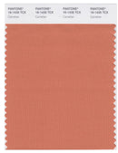 Pantone Smart 16-1435 TCX Color Swatch Card | Carnelian