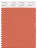 Pantone Smart 16-1441 TCX Color Swatch Card | Arabesque