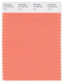 Pantone Smart 16-1442 TCX Color Swatch Card | Melon