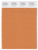 Pantone Smart 16-1443 TCX Color Swatch Card | Apricot Buff