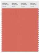 Pantone Smart 16-1450 TCX Color Swatch Card | Flamingo