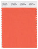Pantone Smart 16-1452 TCX Color Swatch Card | Firecracker