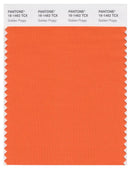Pantone Smart 16-1462 TCX Color Swatch Card | Golden Poppy