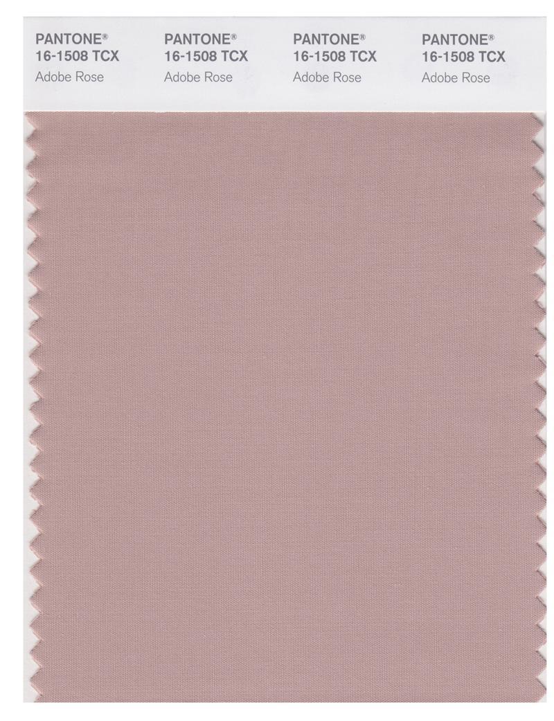 Color 16708 Pantone Smart 16-1508 TCX Color Swatch Card | Adobe Rose | Magazine ...