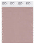 Pantone Smart 16-1508 TCX Color Swatch Card | Adobe Rose