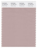 Pantone Smart 16-1509 TCX Color Swatch Card | Shadow Gray